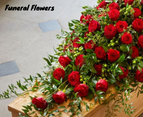 Ani's floral design | Hanham | Home