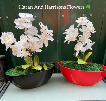 Haran and Harrisons Flowers | Hackney | Home