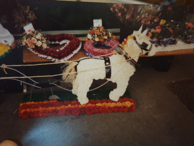 Flowers by Lavish | Coalville | Home