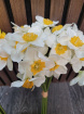 Mother's Day | Silk flowers for Vases | Spring Door Wreaths | Artificial Narcissus/ daffodil bunch