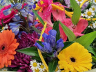 Fresh Flowers | Floral Hat Box Arrangement