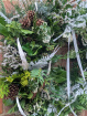 Christmas Collection | Fresh Christmas Wreaths | The White One