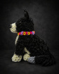 Funeral Flowers | Special Funeral Tributes | 2d border collie dog tribute