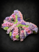 Funeral Flowers | Special Funeral Tributes | Floral butterfly tribute
