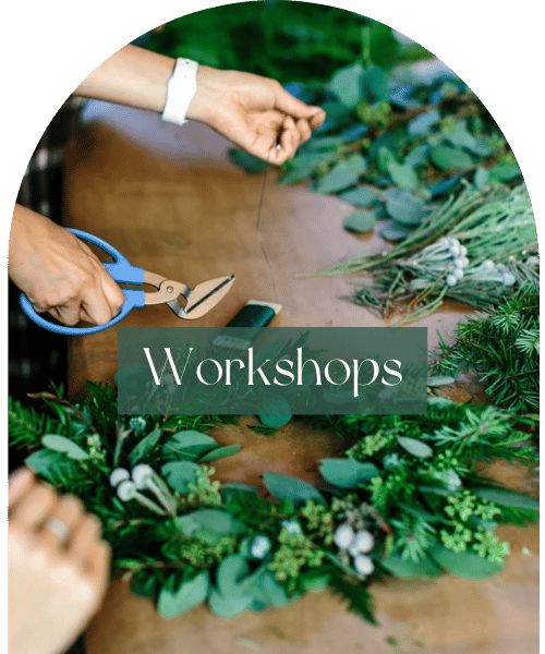 Workshops