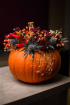 Workshops | Pumpkins and Blooms Festive Workshop