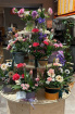 Mother's Day | Mother's Day