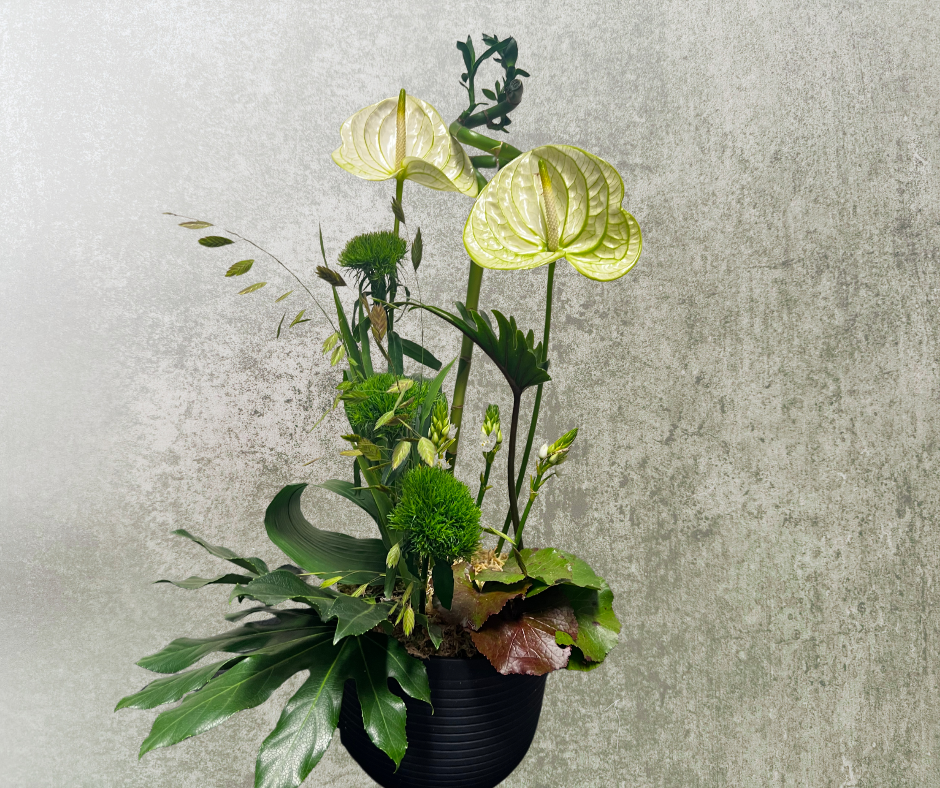 Tiddly Tulips | Harborne | How Flowers Can Transform Spaces