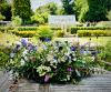Tiddly Tulips | Harborne | Sympathy