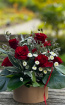 Arrangements | Bouquets | Romance: A classic, elegant arrangement of red roses - Hat Box