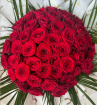 Arrangements | Bouquets | Gifts | Pre-Order Valentine Roses | Special Occasions | Classic Love Bunch