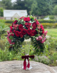 Bouquets | Corporate | Farewell Flowers | Gifts | Special Occasions | Rose Aurora