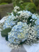Bouquets | Corporate | Farewell Flowers | Gifts | Special Occasions | Blue Whisper