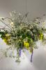 Noisy Wren Floral Design Studio | Gloucester | Corporate & Events