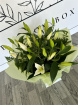 Bouquets | Mother's Day | Lilies and Greenery Aqua Box