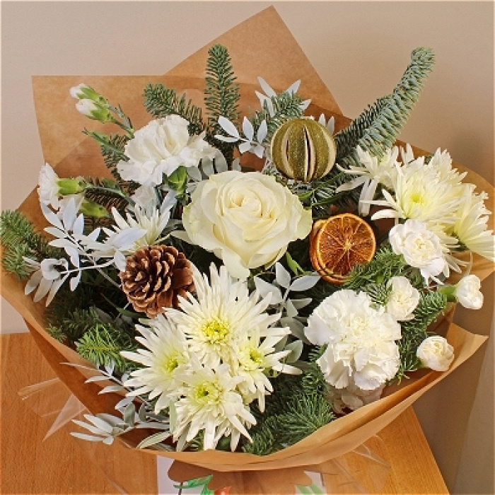 Christmas | Snow day