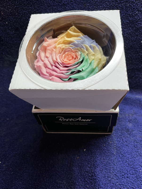 Gifts | Romance | Valentines Day | Rainbow Rose Everlasting