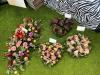 Little Wild Stems | Sunderland | Funeral