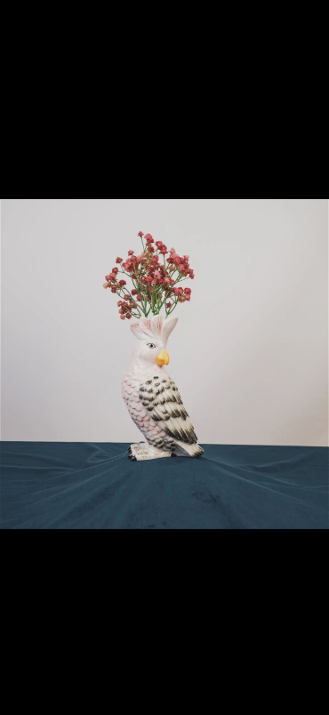 Gifts | Cockatoo vase
