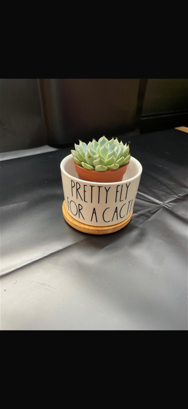 Gifts | Succulent vase