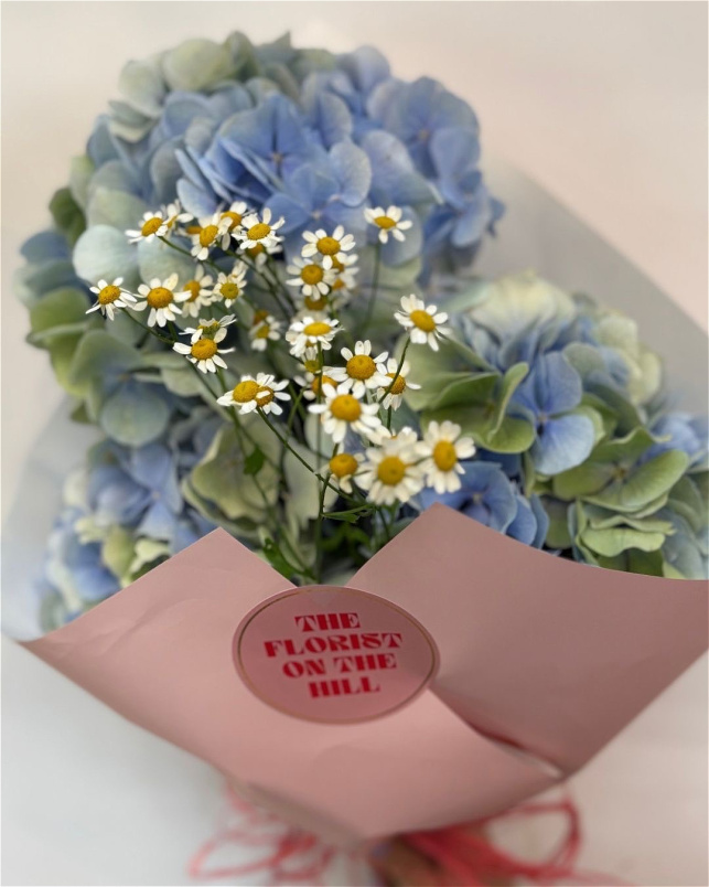 Bouquets | Hydrangea bunch