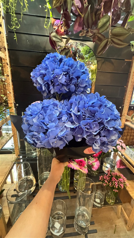 Bouquets | Hydrangea bunch