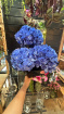 Bouquets | Hydrangea bunch
