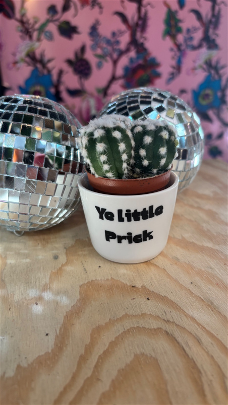 Gifts | Little prick mini cactus vase