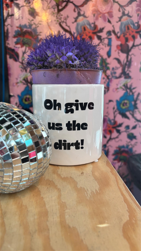 Gifts | Give us the dirt - vase only
