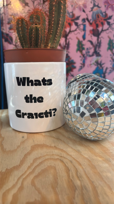Gifts | What’s the craic - with cactus