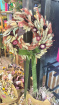 Gifts | Wreath €75