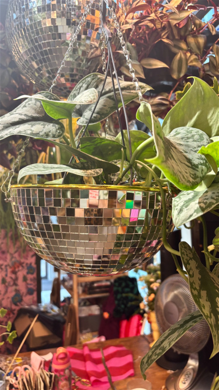 Gifts | Large disco hanging planter