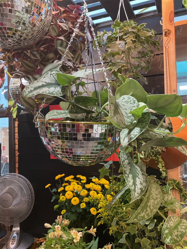 Gifts | Large disco planter