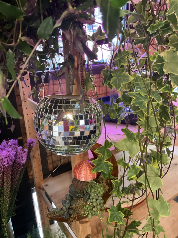 Gifts | Small disco planter