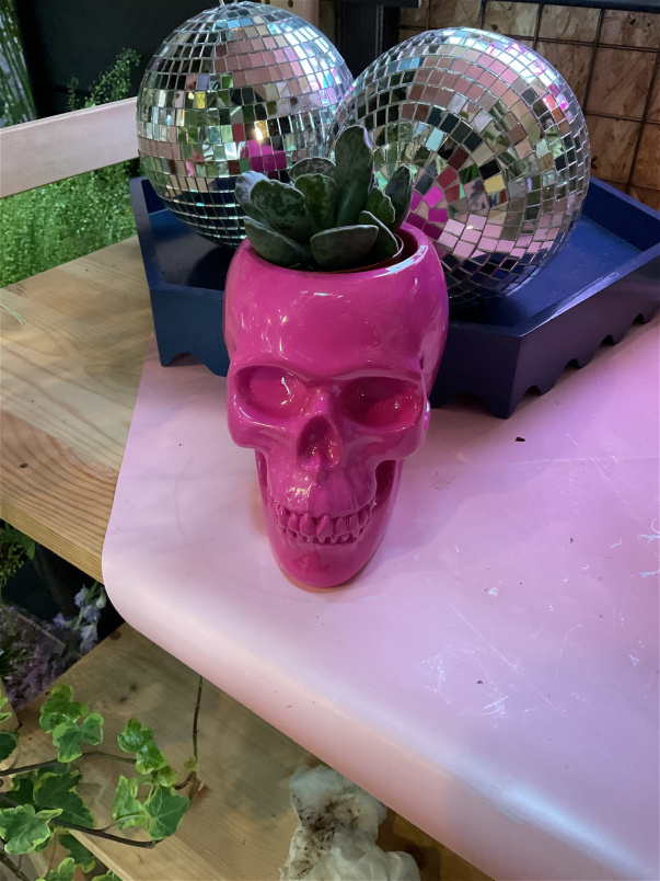 Gifts | Pink skull planter