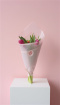 Bouquets | Tulip Bunch
