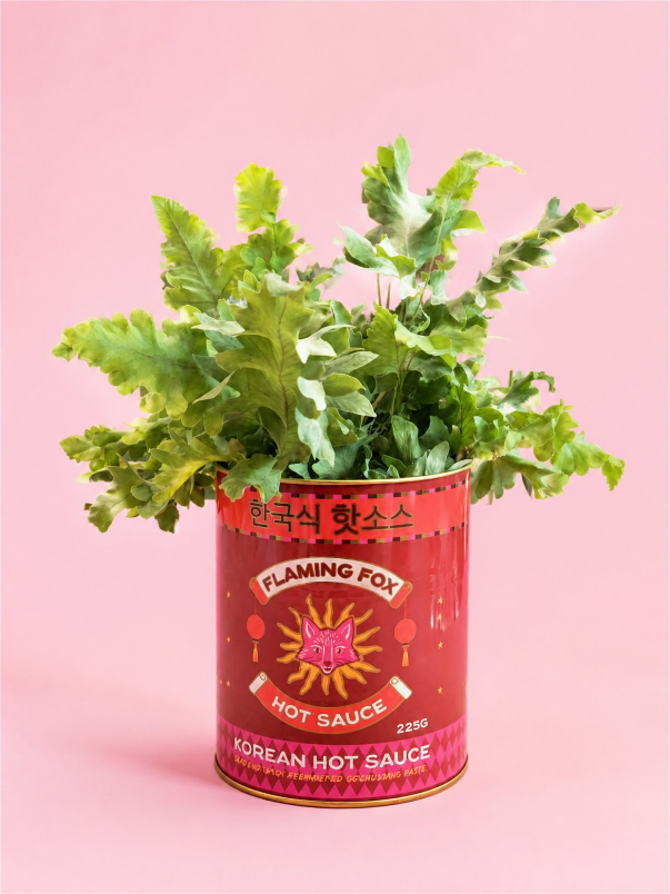 Gifts | Tin planter - Flaming Fox