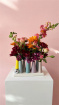Bouquets | Disco Buds