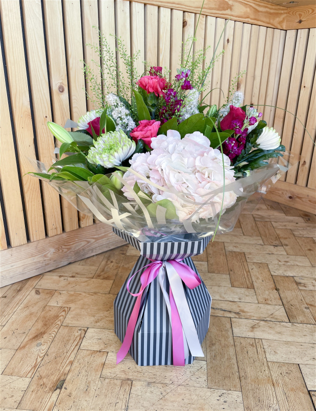 Prestige collection | Candy