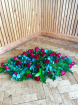 Funeral | Coffin spray roses