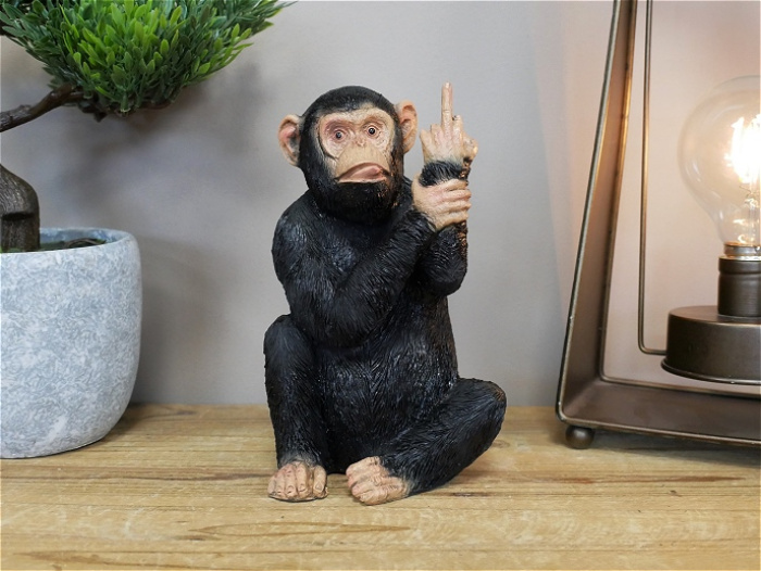 Gifts and sundries | Cheeky Monkey