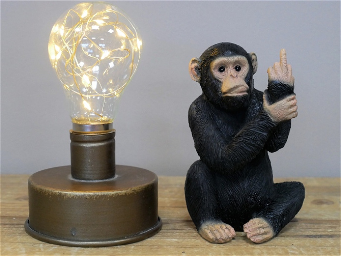 Gifts and sundries | Cheeky monkey