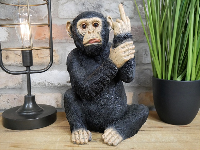 Gifts and sundries | Cheeky monkey large
