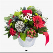 Christmas Flowers | Jolly St Nick - Pot Arrangement