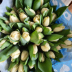 Bouquets | Mother's Day | Valentine's Day | Tulips