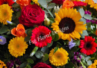 Autumn Flowers | Gift Flowers | Radiant Autumn Blooms