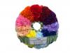 Silk Blossom Company | Solihul | Funeral