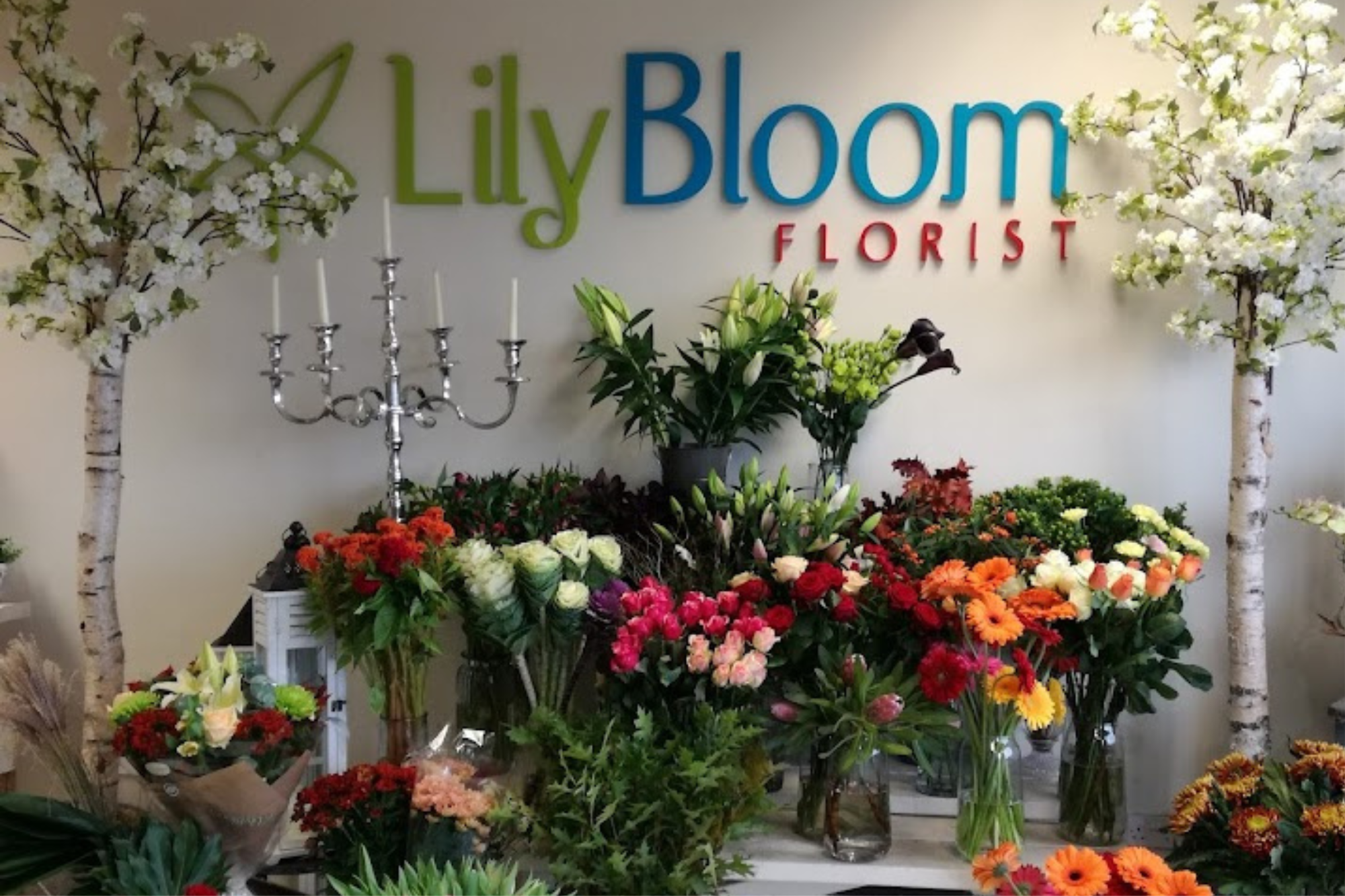 Lily Bloom florist Ltd | Wexford | Home