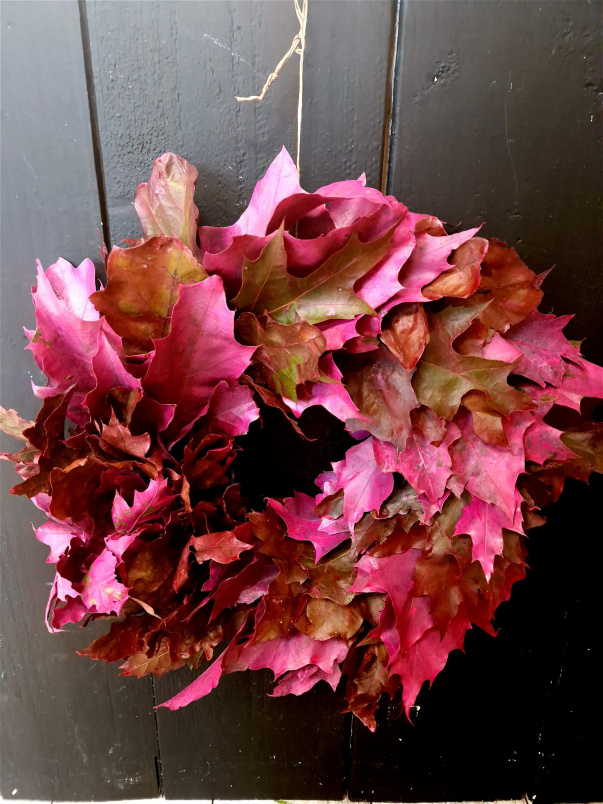 Eco Range Fresh Flowers | Popular this Week | Oak Wreath Pink