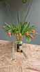 Eco Range Fresh Flowers | Popular this Week | Tulip Vase